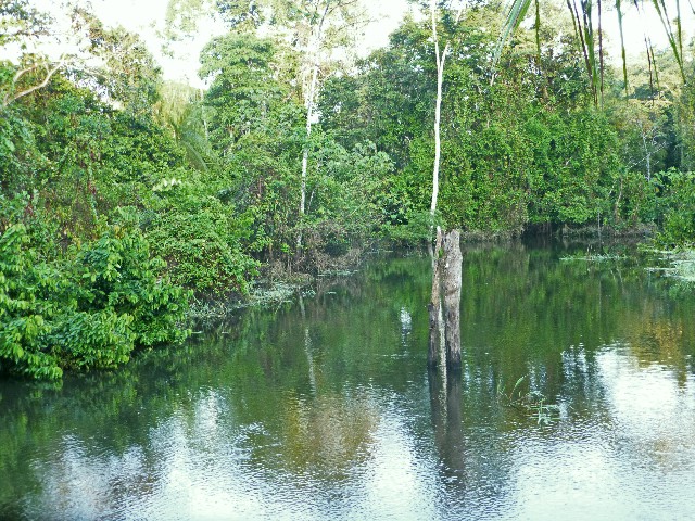 Cove on the Orosa River