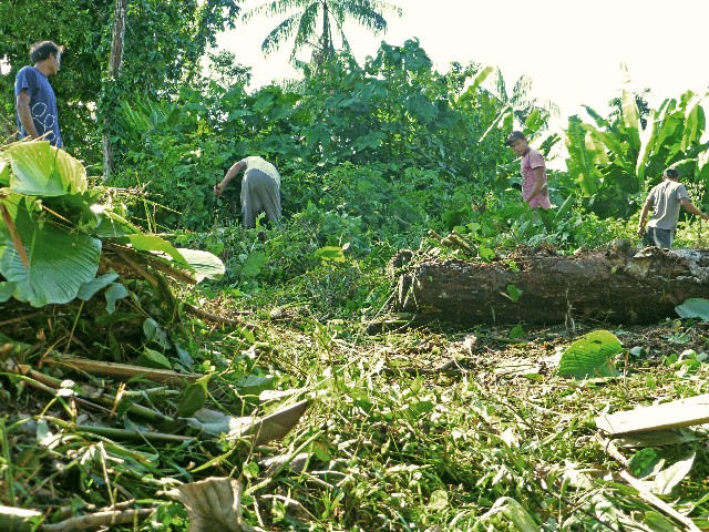 Small clearing for an outbuilding at the Orosa Clinic