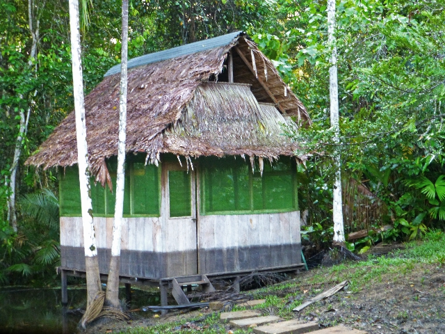 Hut at Madre Selva biological research station operated by Project Amazonas