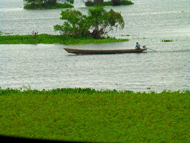 Pecka-pecka on the Amazon