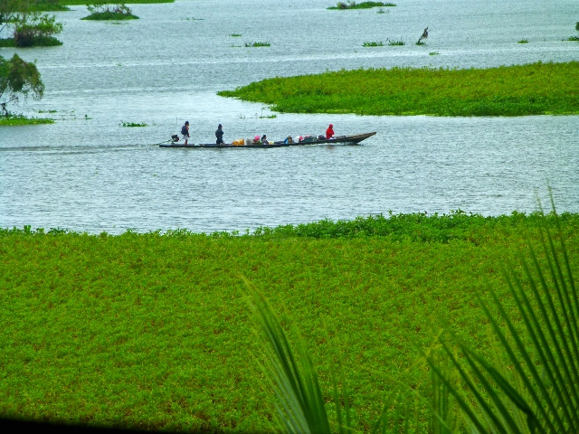 Pecka-pecka on the Amazon